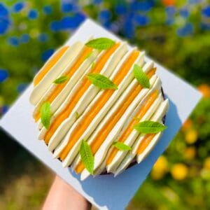 Tarte Abricot Verveine