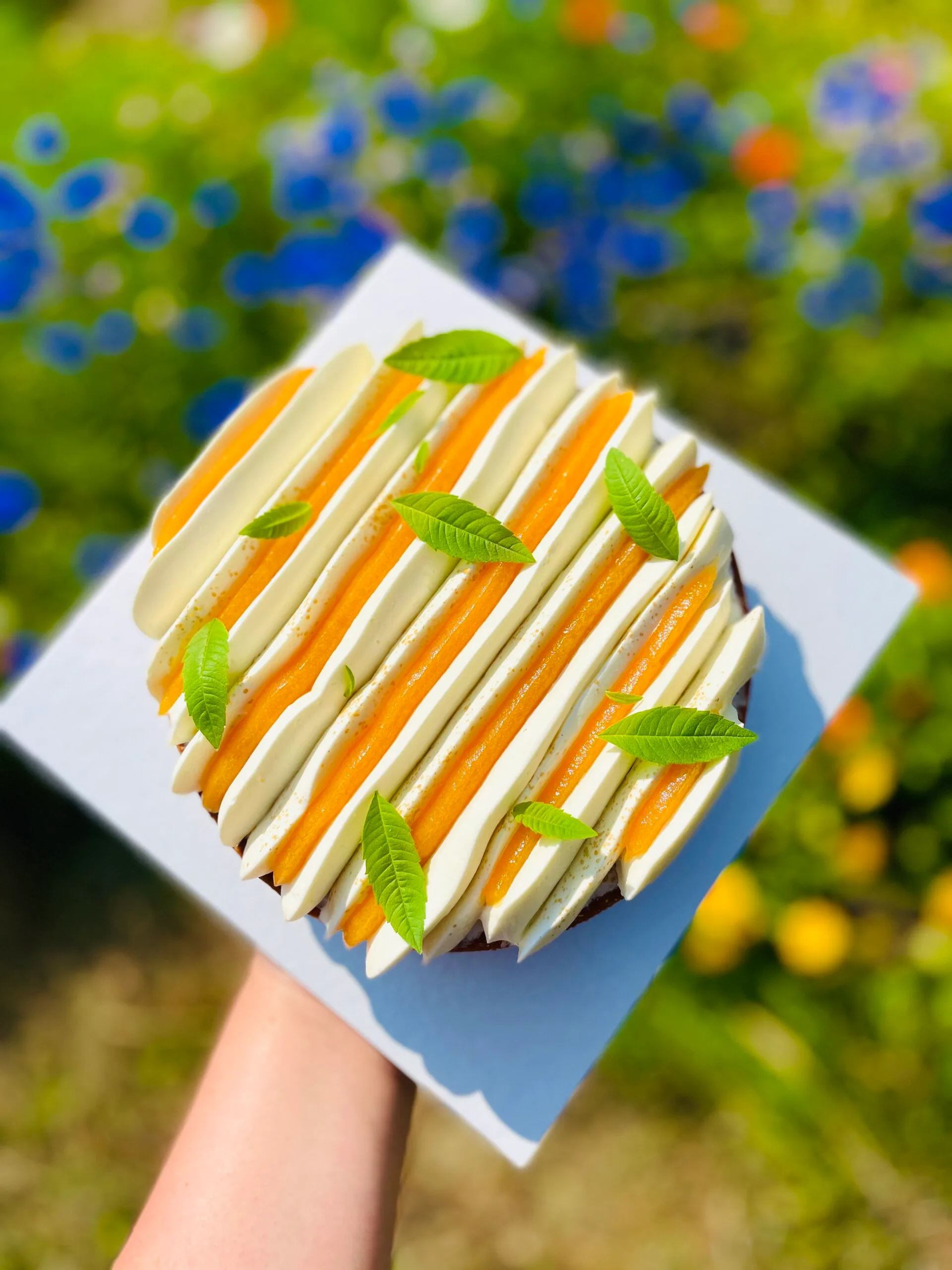 Tarte Abricot Verveine